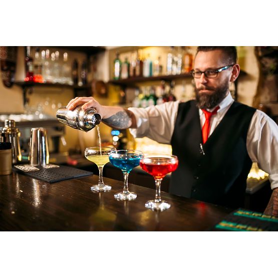 Barmanska garnitura BRADFORD 10 kosov