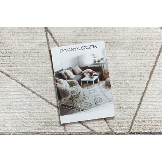 BLISS Z201Z128 preproga kremna / bež - Okvir, geometrijska, moderna, strukturna