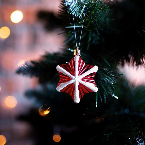 BOŽIČNI OKRASKI RDEČE BELE 78 KOS SYSD1688-113