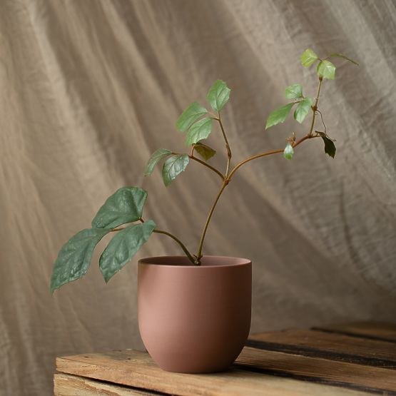 Cvetlični lonec SHIRE svetlo modra barva sodoben stil za notranjost ameliahome