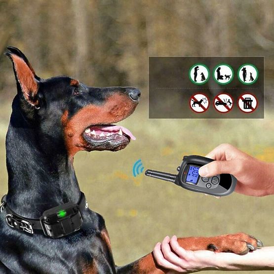 ELEKTRIČNA TRENIRKA ZA PSA pj-098