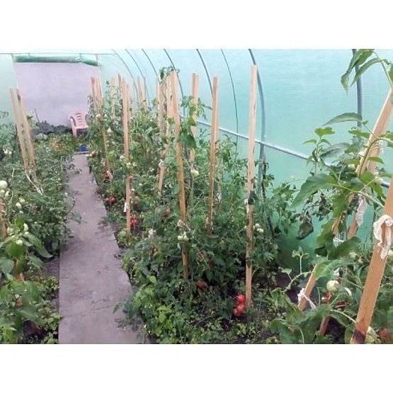 Folijski tunel - vrtni rastlinjak - 3x6 m