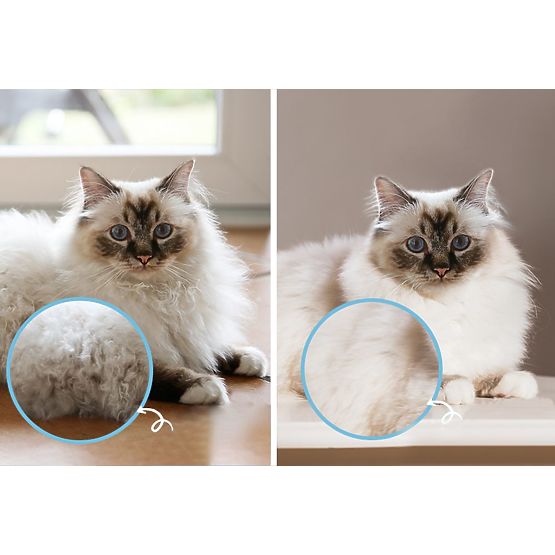 Glavnik - profesionalna krtača proti vozlanju PJ-040