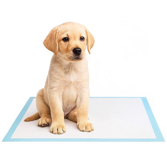 Higienski podložki za živali BARRY 50 kos