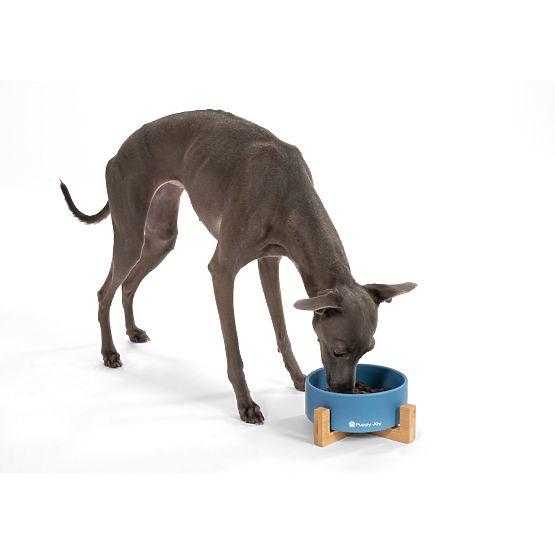 Keramična posoda za psa ali mačko modra PJ-033