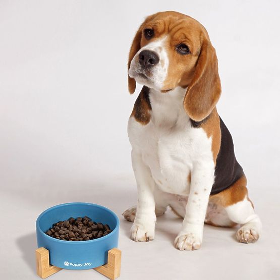 Keramična posoda za psa ali mačko modra PJ-033