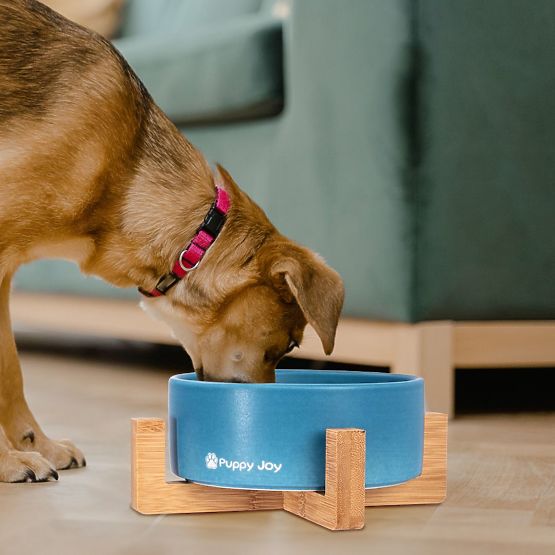 Keramična posoda za psa ali mačko modra PJ-033