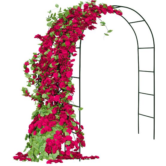 Kovinska pergola lok črna 240 cm