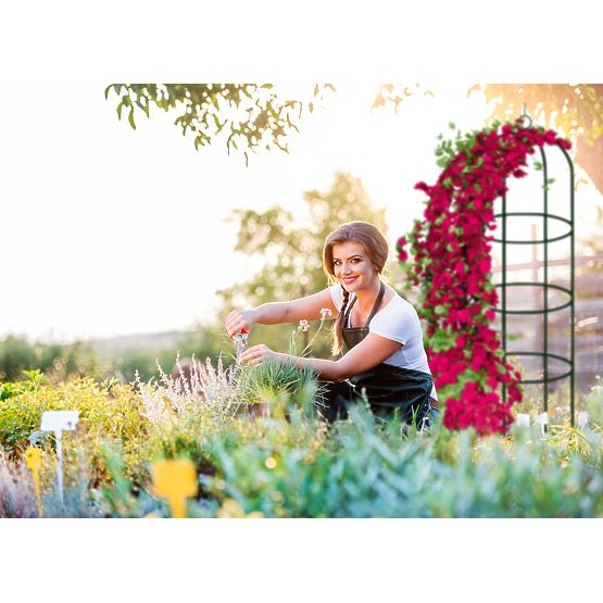 Kovinska pergola steber temno zelena 190 cm