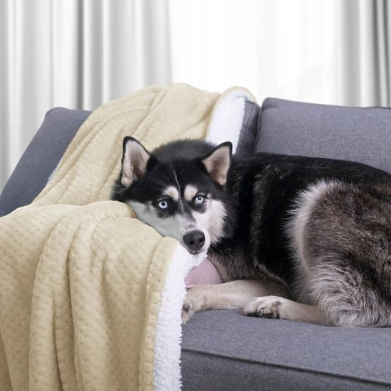 Odeja SHLEEPY barva bež jacquard klasični stil 130x180