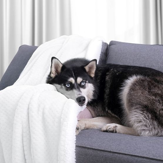 Odeja SHLEEPY bela z žakardnim reliefom klasični slog 220x240