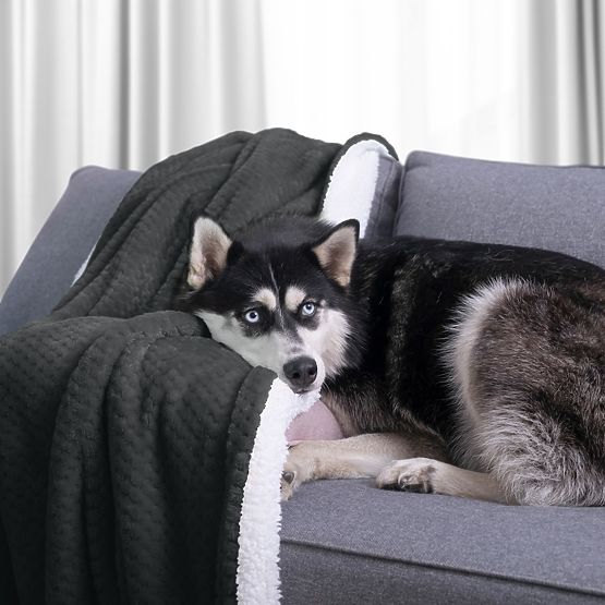 Odeja SHLEEPY grafitna barva žakardno vtisnjena klasični stil 170x210