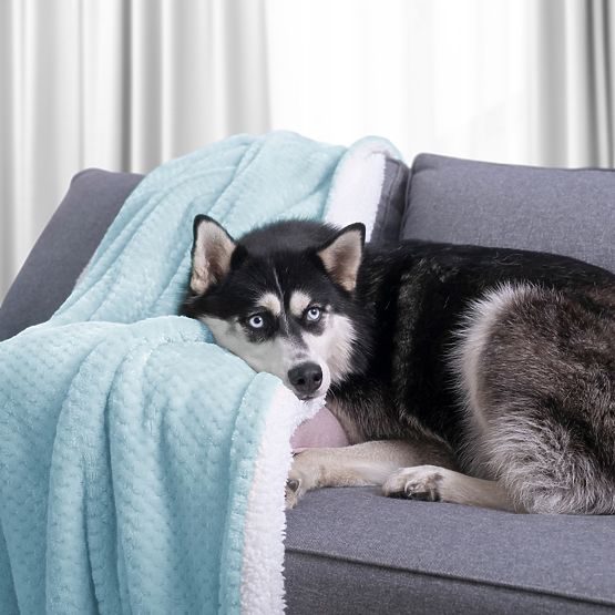 Odeja SHLEEPY svetlo modra žakardni vzorec klasični stil 70x150