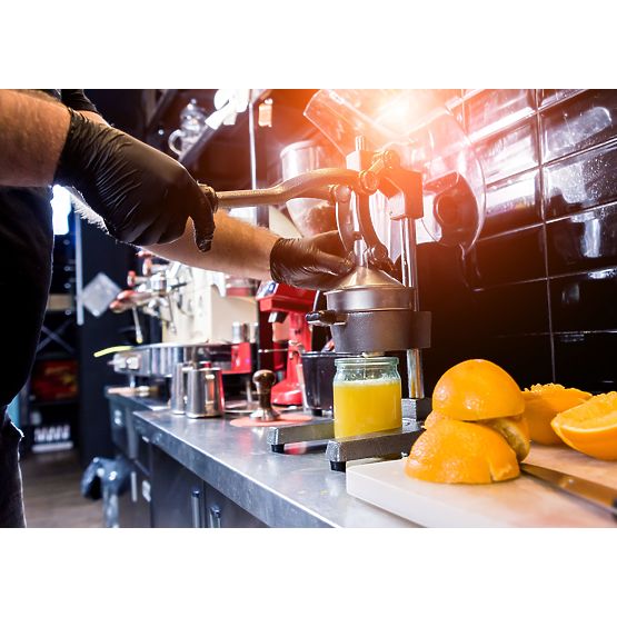 Ožemalnik za citruse in granatna jabolka Verna