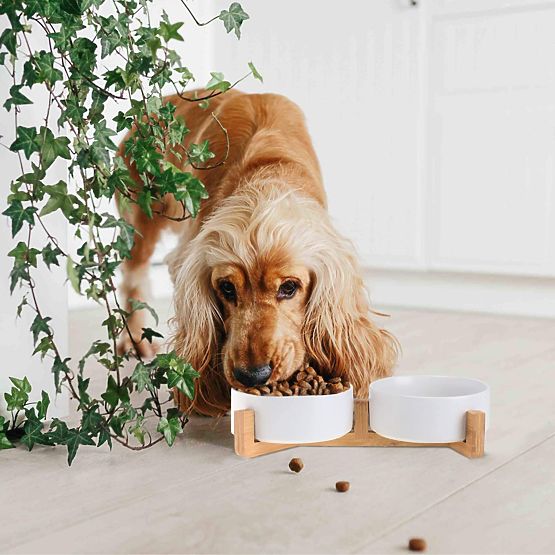 POSODA ZA HRANO IN VODO ZA ŽIVALI BELA 331579