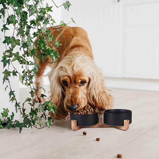 POSODA ZA HRANO IN VODO ZA ŽIVALI ČRNA 331579