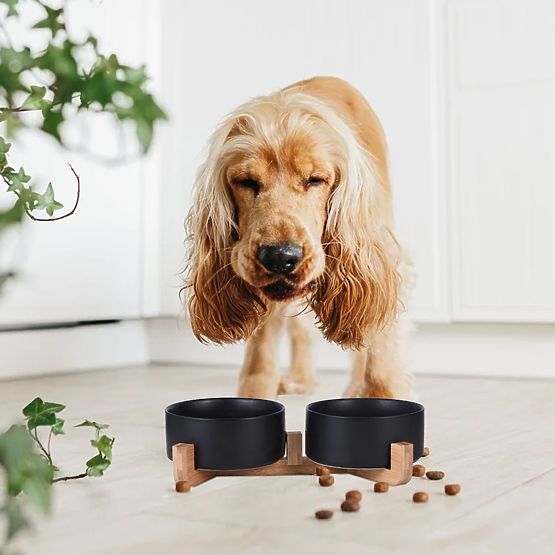 POSODA ZA HRANO IN VODO ZA ŽIVALI ČRNA 331579