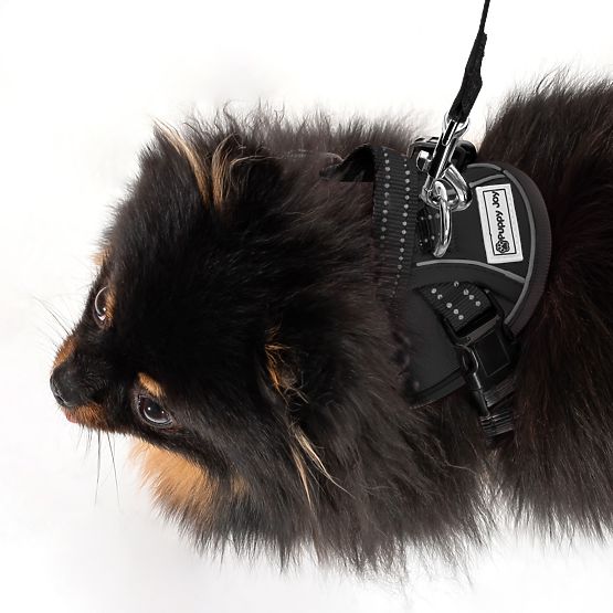 Povodec in oprsnica za psa PJ-047 črna XS