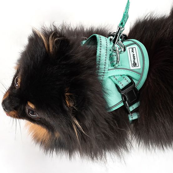 Povodec in oprsnica za psa PJ-049 zelena XS