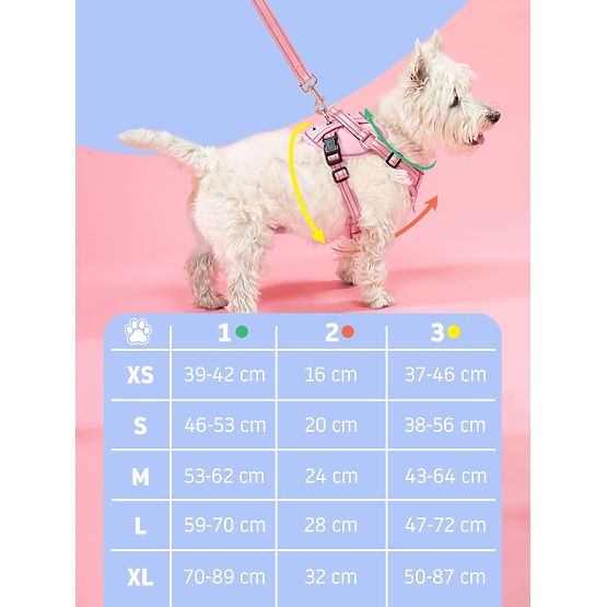 Povodec in oprsnica za psa PJ-053 zelena S
