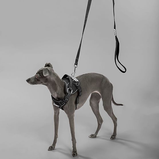 Povodec in oprsnica za psa PJ-055 črna M