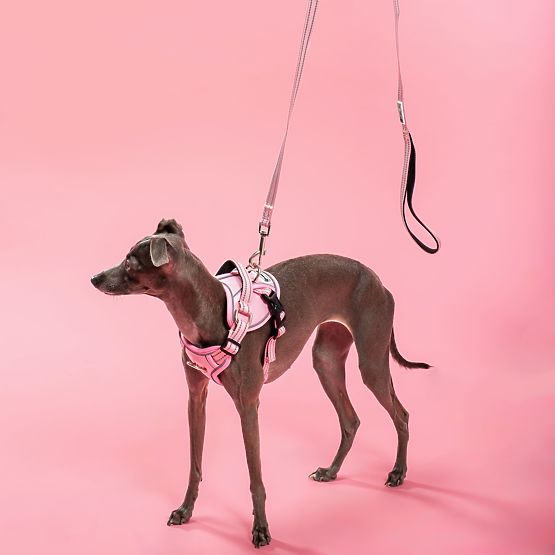 Povodec in oprsnica za psa PJ-056 roza M