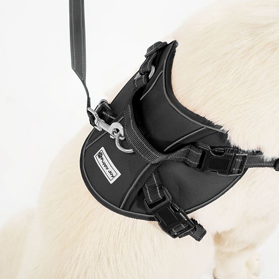 Povodec in oprsnica za psa PJ-059 črna L