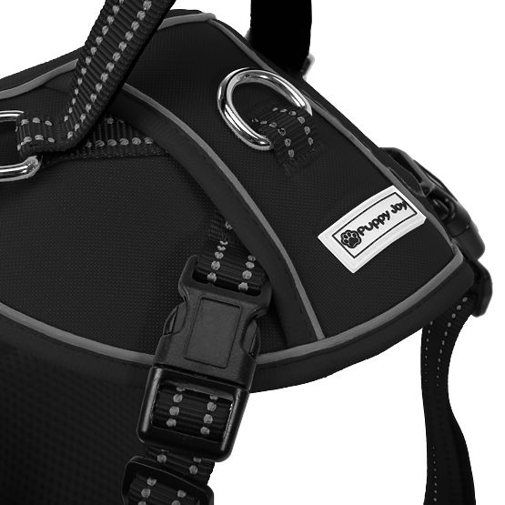 Povodec in oprsnica za psa PJ-059 črna L