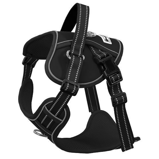 Povodec in oprsnica za psa PJ-059 črna L