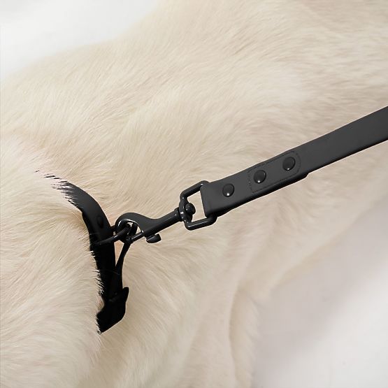 Povodec in ovratnica za psa PJ-075 črna L