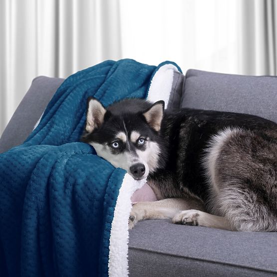 Pregrinjalo SHLEEPY indigo barva žakardno vtisnjen klasičen stil 130x180