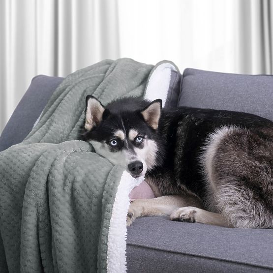 Pregrinjalo SHLEEPY sivo barvo z žakardnim vzorom klasičen stil 220x240