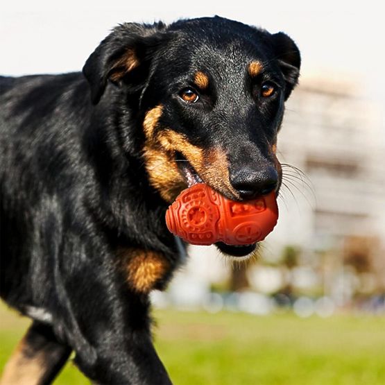 Rdeča žvečilna žoga za pse PJ-046