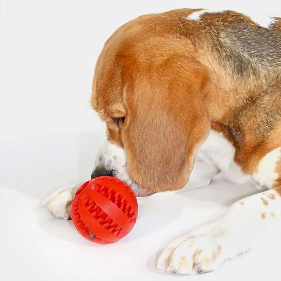 Rdeča žvečilna žoga za pse PJ-090