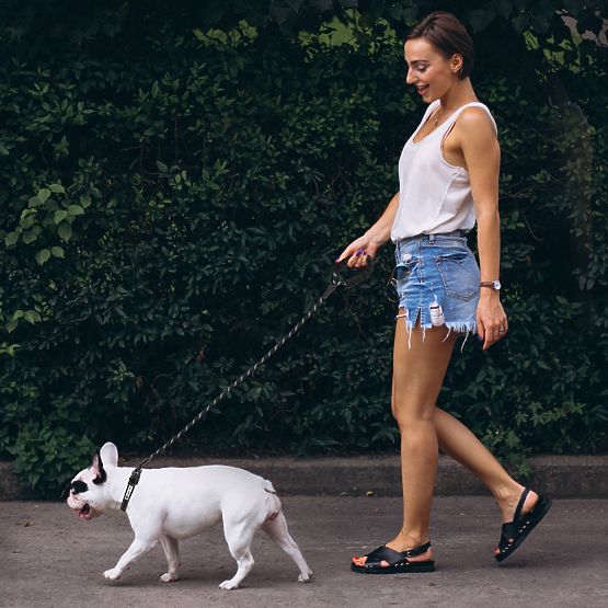 Refleksni povodec in ovratnica za psa PJ-091 črna