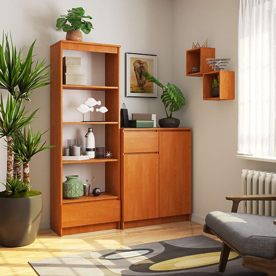 REGAL R 60 cm CLP 1 PREDAL 4 POLICE PK JELŠA