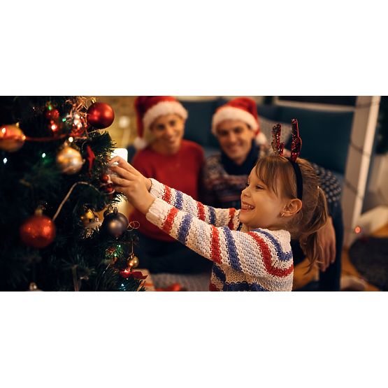 RJAVE BOŽIČNE KROGLE 34 KOSOV SYSD1688-038