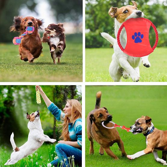 Set 10 igrač za pse DYLAN vlečne igrače