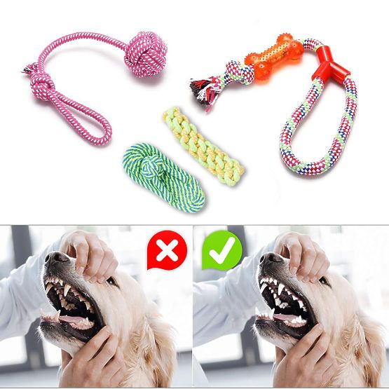 Set 10 igrač za pse DYLAN vlečne igrače