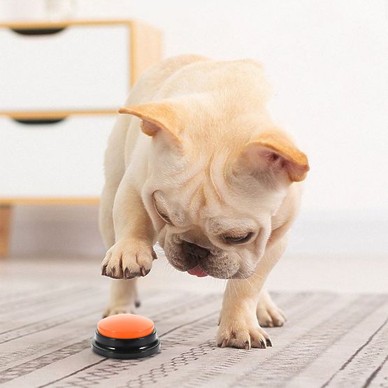 Set 4 komunikacijskih gumbov za psa TALKER