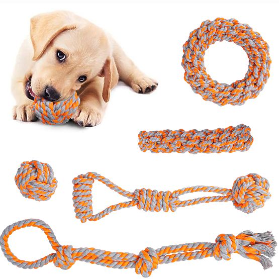 Set vlečnih igrač za pse SPANKY 5 kosov