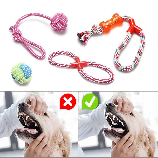 Set vlečnih igrač za pse SPANKY 5 kosov