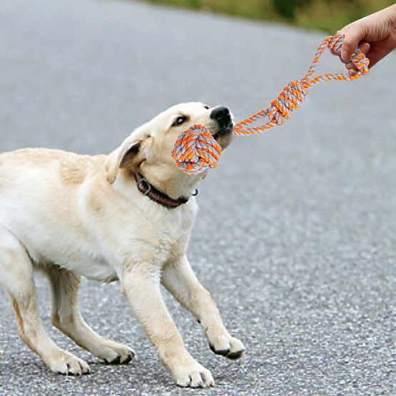 Set vlečnih igrač za pse SPANKY 5 kosov