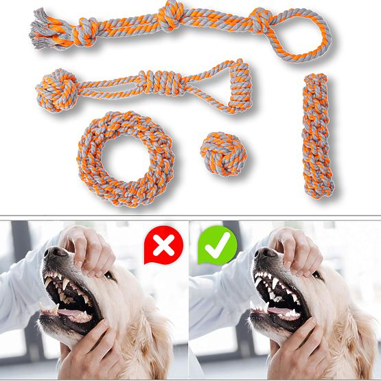 Set vlečnih igrač za pse SPANKY 5 kosov