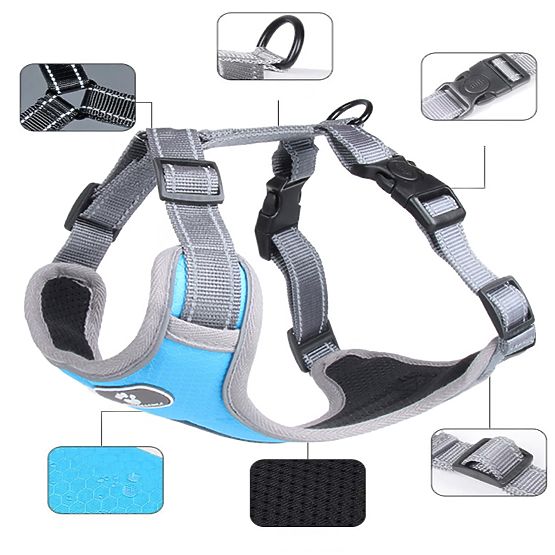 Treningni pas za psa ASTRO moder velikost S