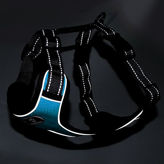 Treningni pas za psa ASTRO moder velikost S