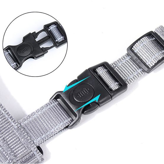 Treningni pas za psa ASTRO modra velikost XL