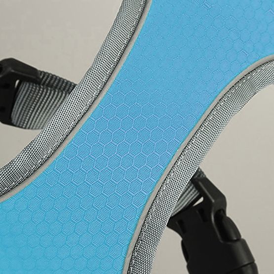 Treningni pas za psa ASTRO modra velikost XL