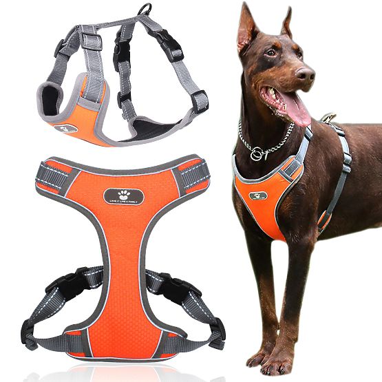 Treningni sprehajalni pas za psa ASTRO oranžna velikost XL
