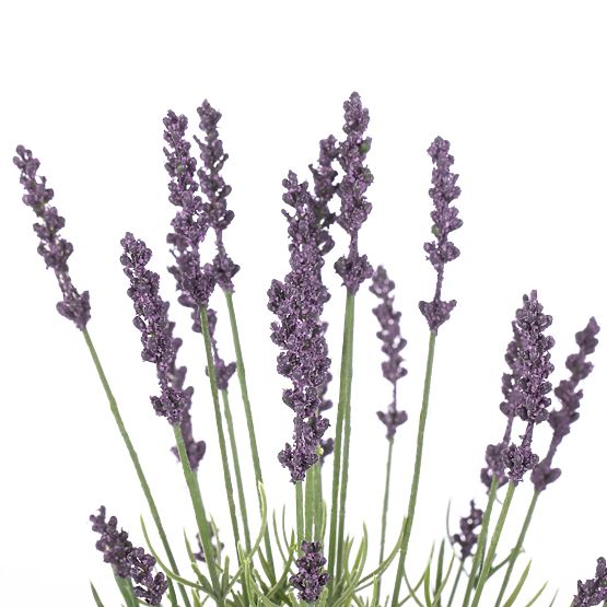 Umetni cvet LAVI vijolična barva boho stil ameliahome